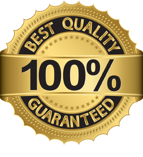 best-quality-100-percent-guaranteed-golden-label-vector-1204712-removebg-preview