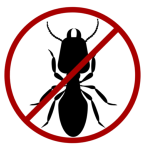 532-5321691_termite-icon-black-no-symbol-transparent-clipart-removebg-preview