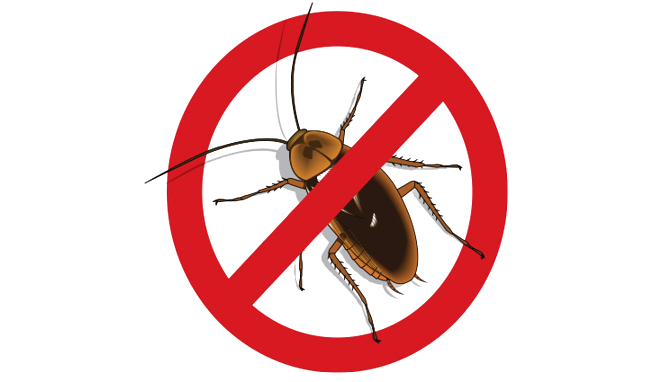 No_Roaches_725x425-removebg-preview