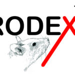 RODEX Logo (2)