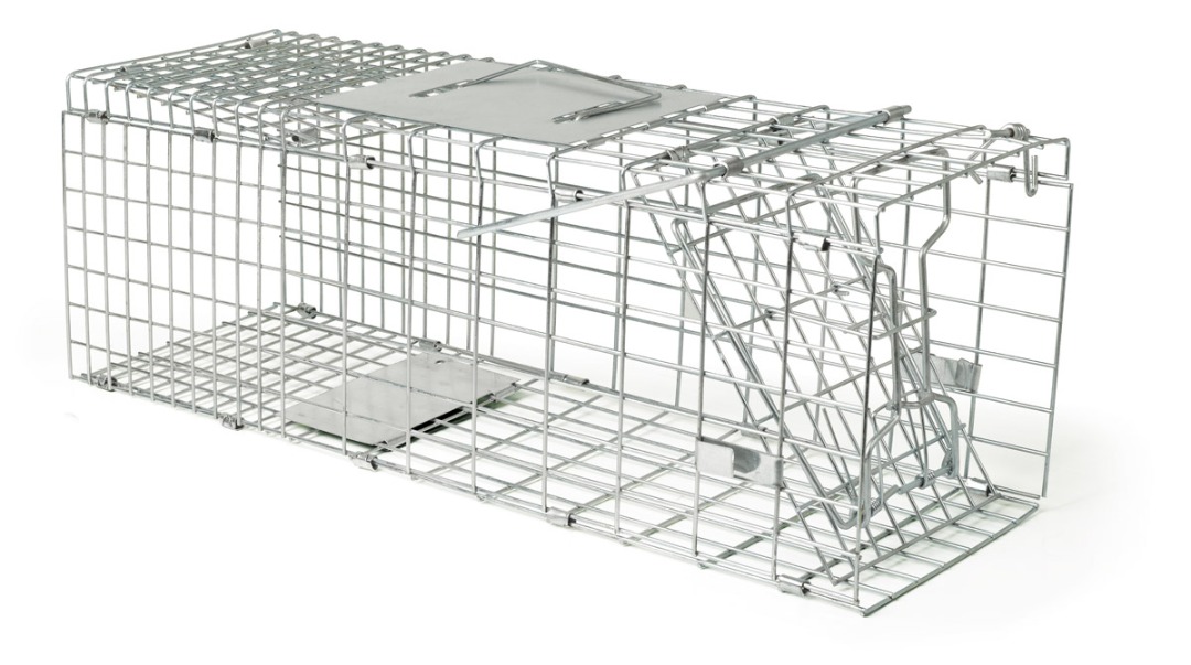 Rodex Foldable Live traping cat cage