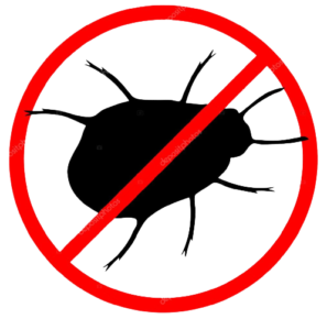 depositphotos_16786991-stock-illustration-no-bugs-removebg-preview (1)