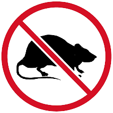 images-removebg-preview