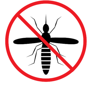 istockphoto-1248645613-170667a-removebg-preview