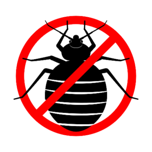 istockphoto-1286556884-170667a-removebg-preview