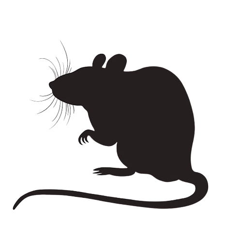 istockphoto-584225072-612x612-removebg-preview