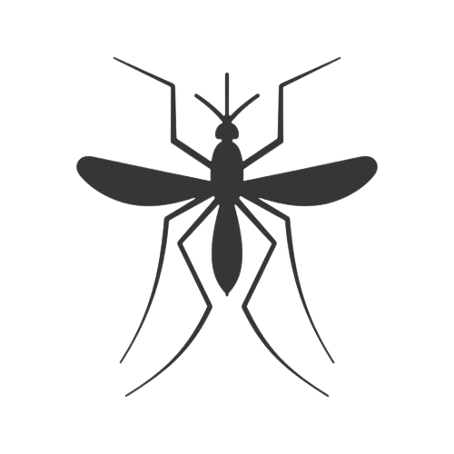 istockphoto-823840278-612x612-removebg-preview